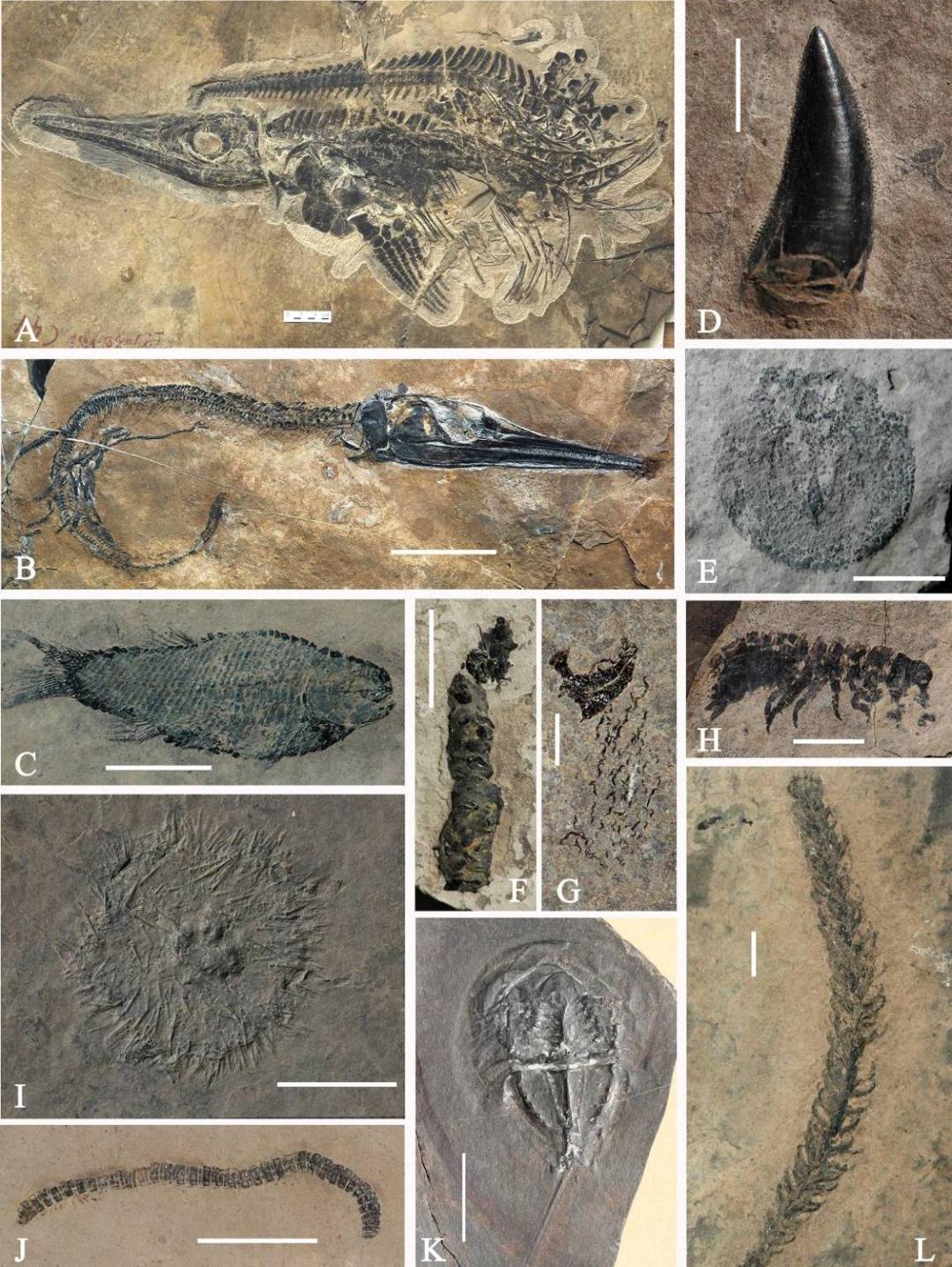 昆明七彩云南怎么样,七彩云南避暑家园