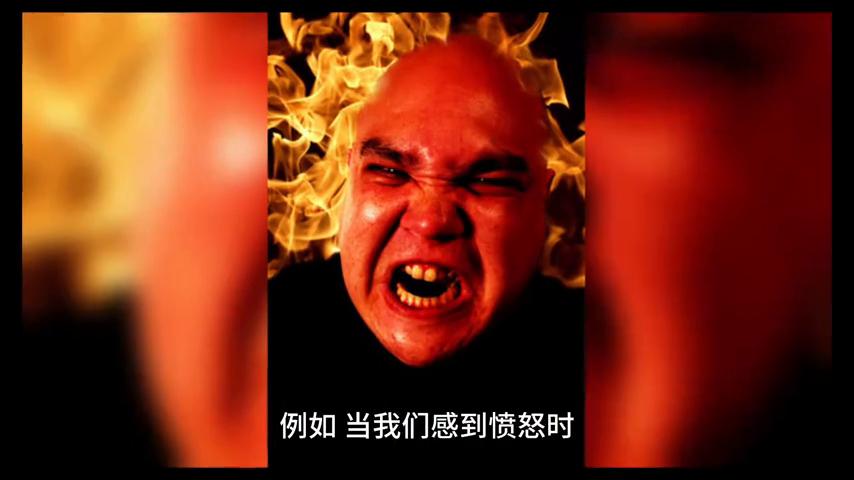 人类的情感需求,人类的情感艺术