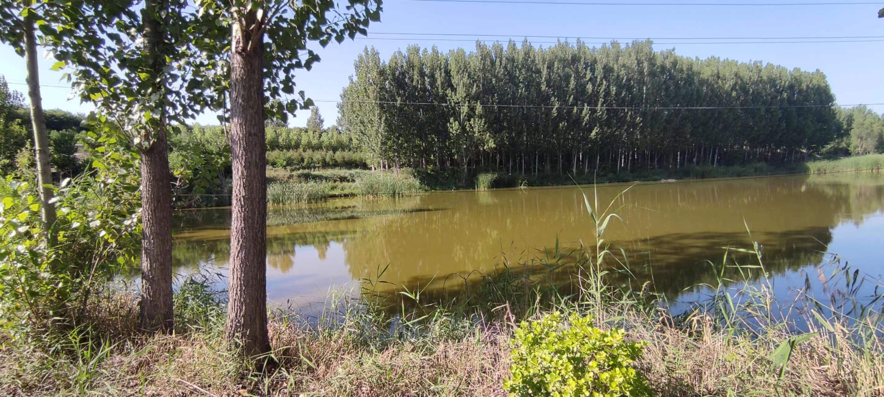 古中国考出彭蠡泽｜张笔魁