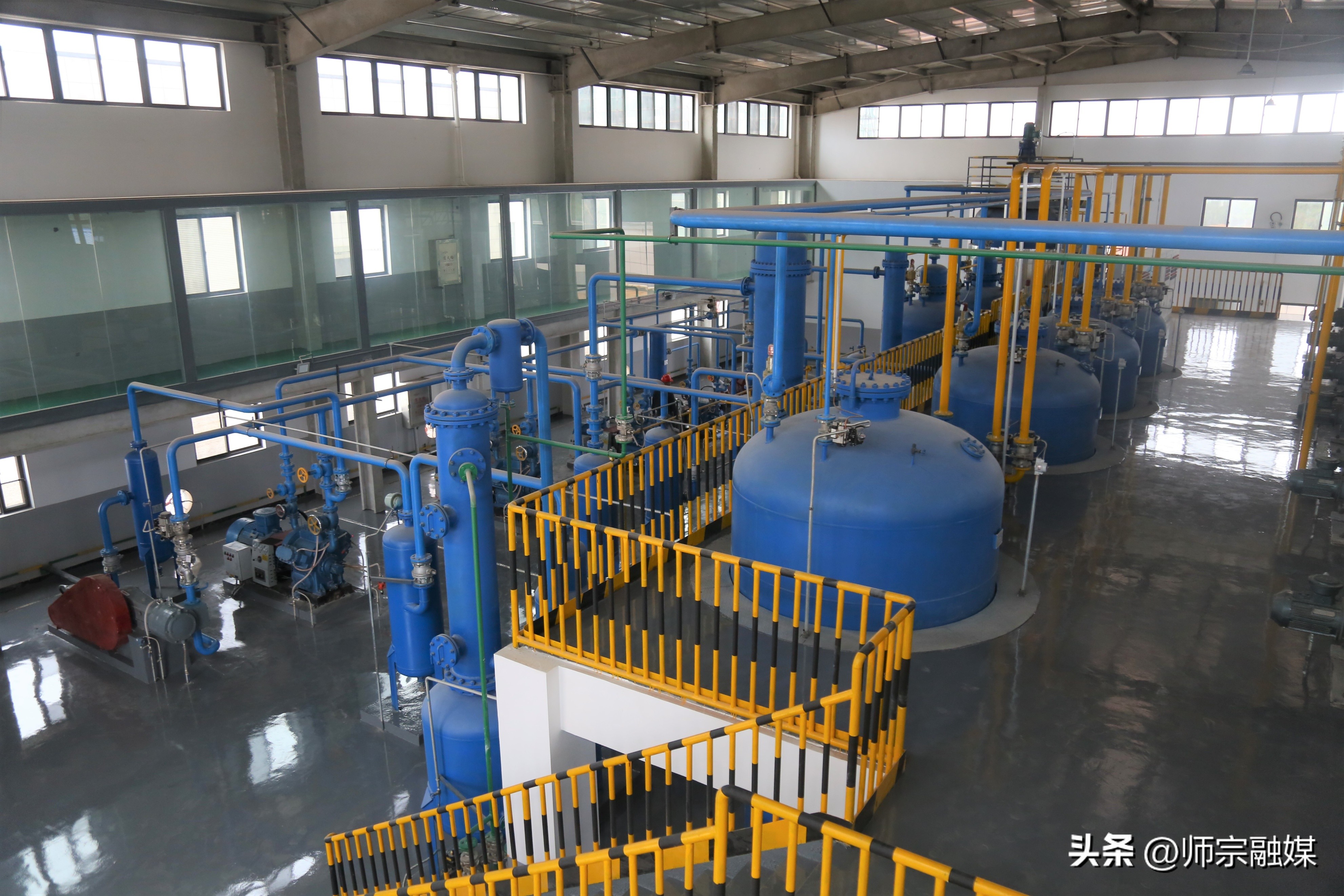 师宗绿色食用菌产业发展,师宗建设项目