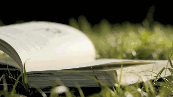 推荐小学生高质量课外书单,中小学生必读优秀课外书推荐