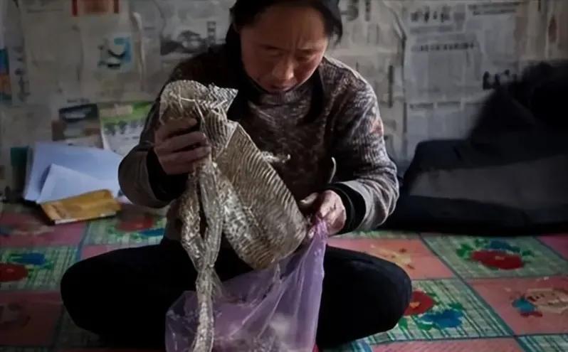 1995年，吉林一女子和蛇同床12年后毫发无伤，甚至还能听懂她的话