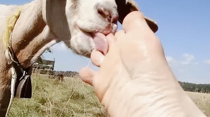 古代很温柔的刑罚,古代有很温柔的刑罚