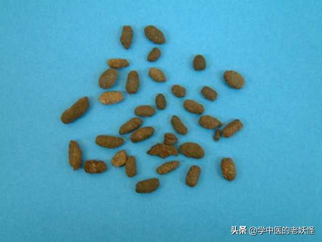 五灵脂可活血通络吗,用于活血止痛五灵脂的最佳配伍