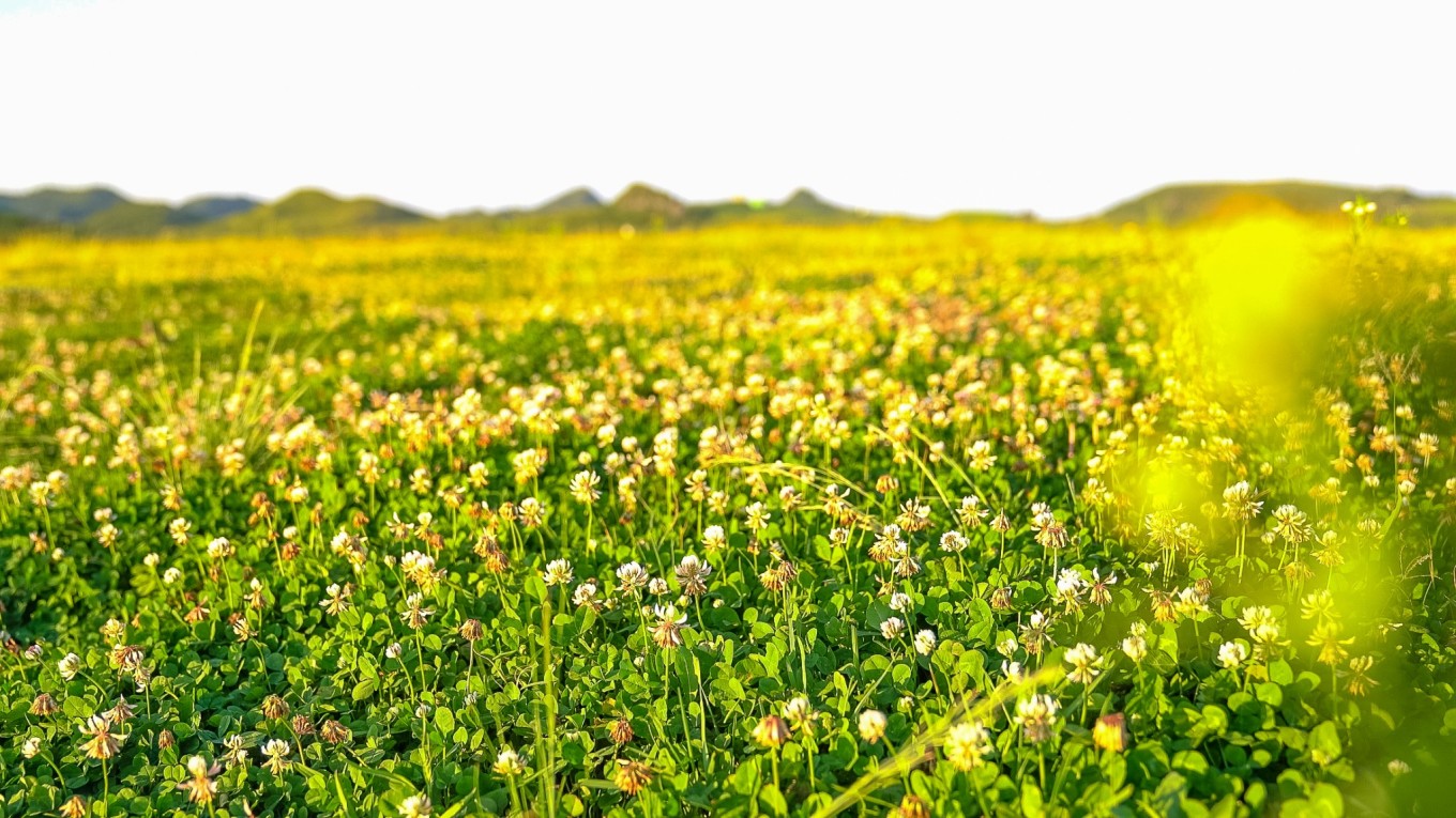 毕节油杉河景区,贵州夏季的避暑景点