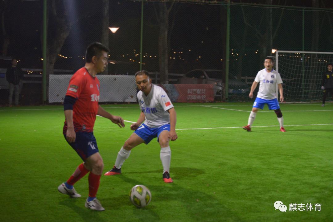 本是同根生结局解析,本是同根生愿结连理枝