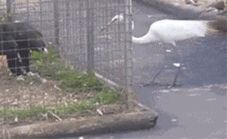 6张让人无法淡定的搞笑图片,11张尴尬到爆的搞笑图片