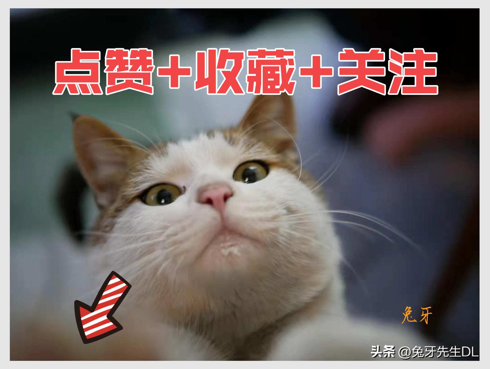 在家也能享受影院级观影体验,在家可以享受影院级的震撼视频