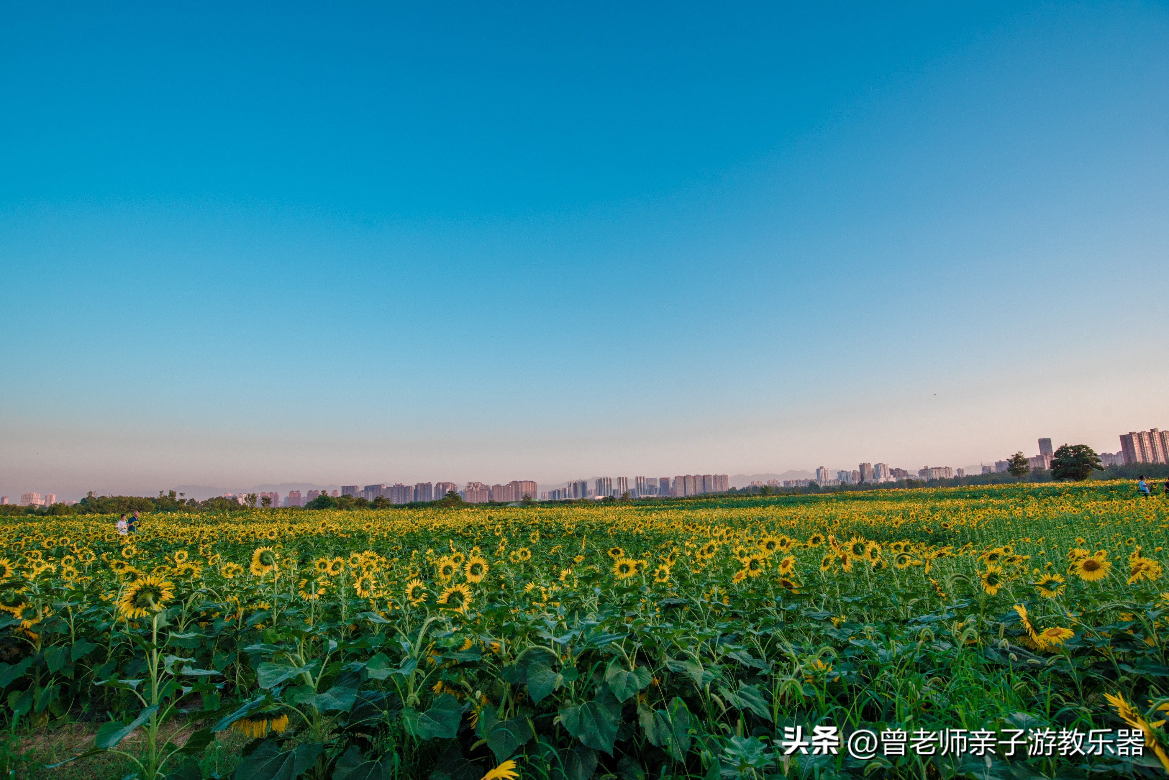 西安2023旅游攻略,2023年西安必去景点