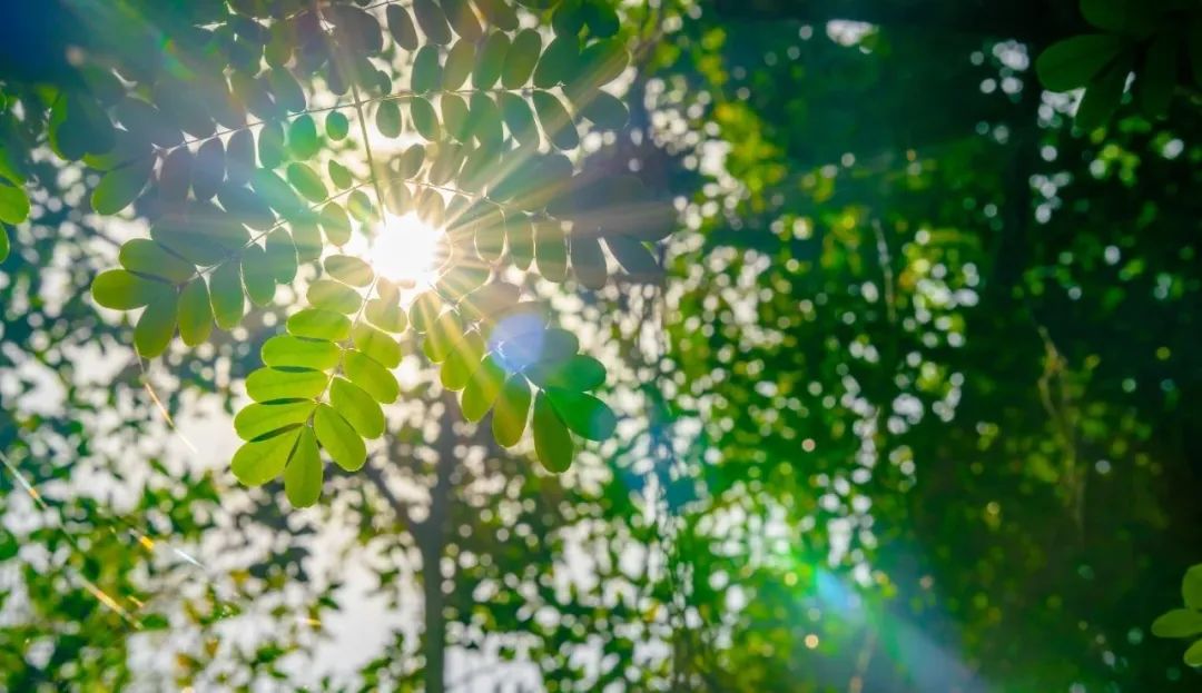 三月淡季营销方案,如何支撑好旺季营销