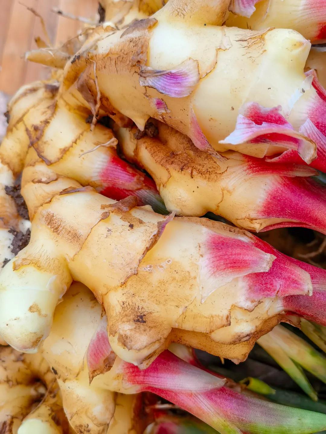 济南夜市网红打卡地点,济南网红打卡地经三路