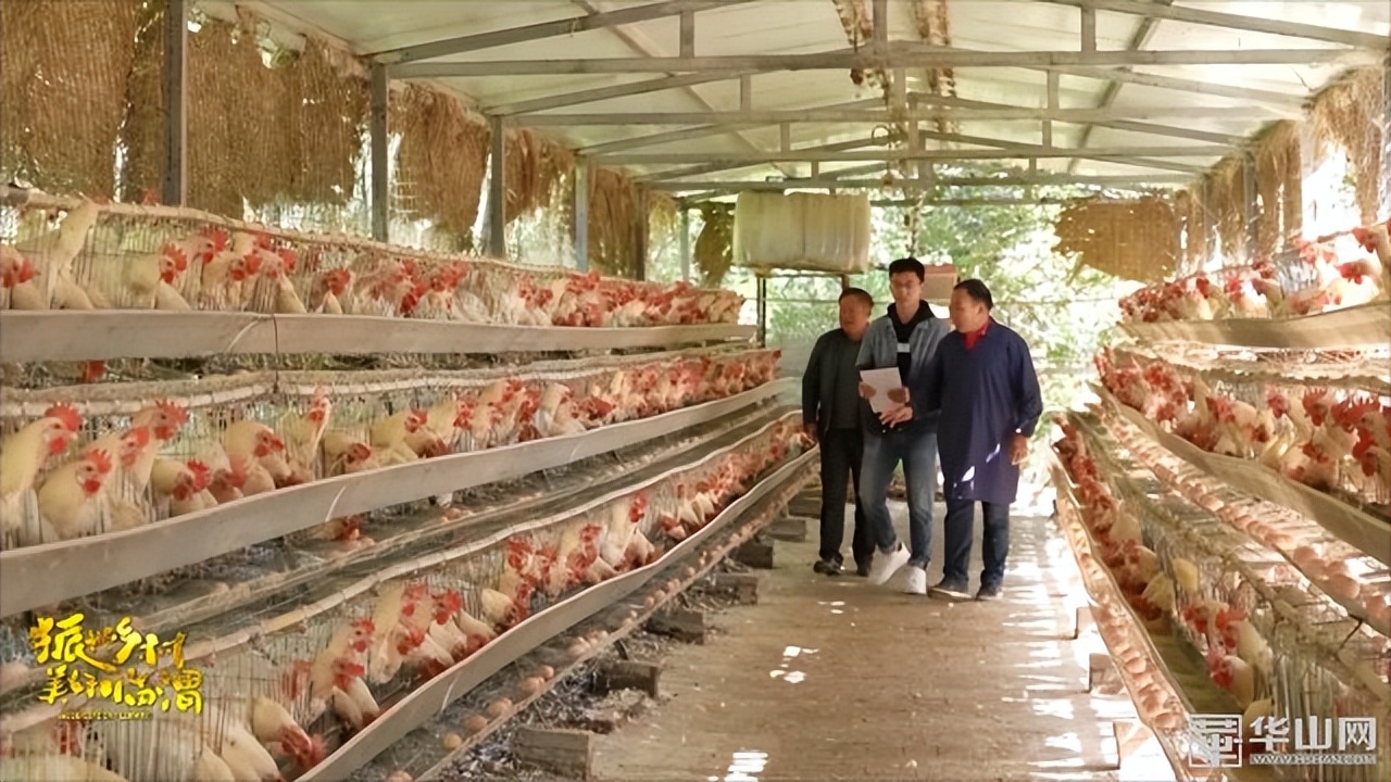 选调生助力乡镇,驻村干部助力乡村振兴