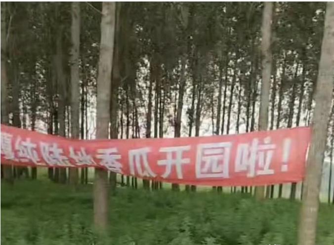 城管是不是管的太宽了？田间地头也不允许打广告，瓜农很委屈