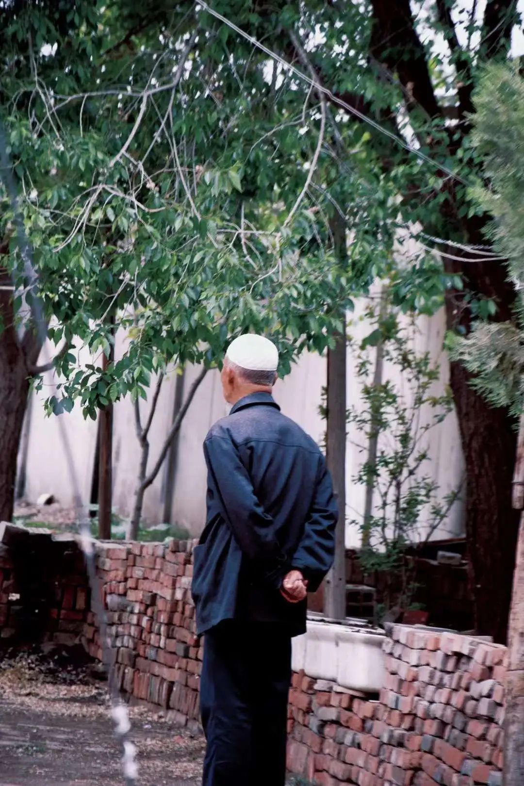 国内最chill的城市，我想投它一票