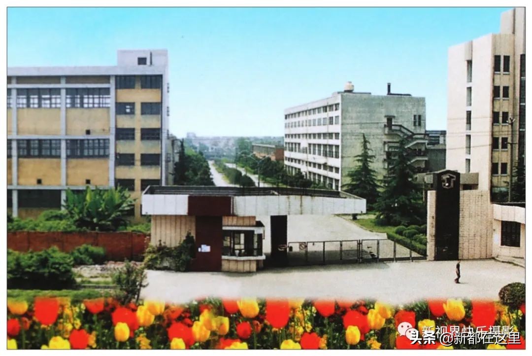 新都区老影像,新都记忆老照片