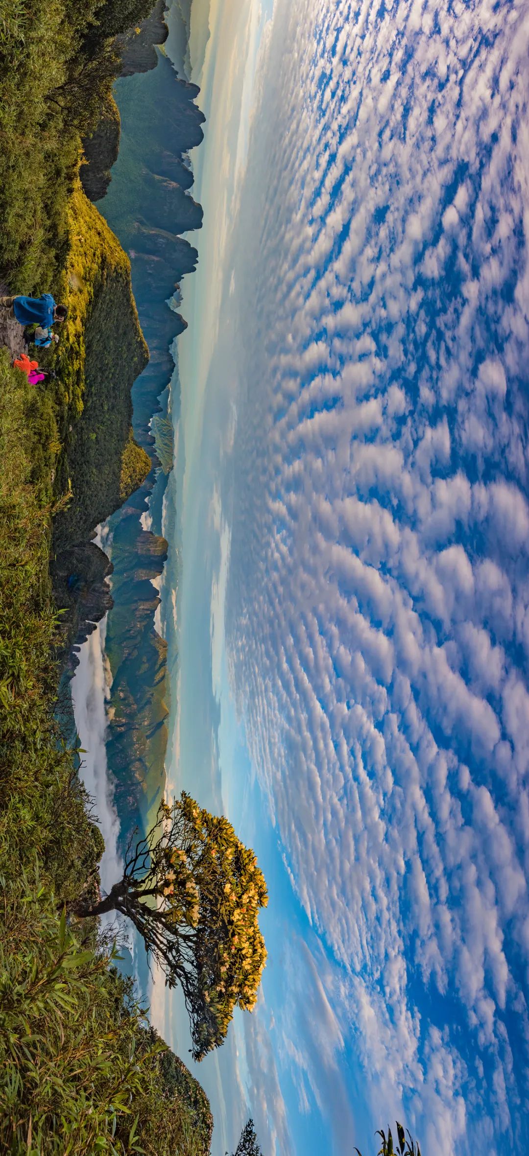 父爱如山如大海般深沉,父爱如山就是最伟大的爱