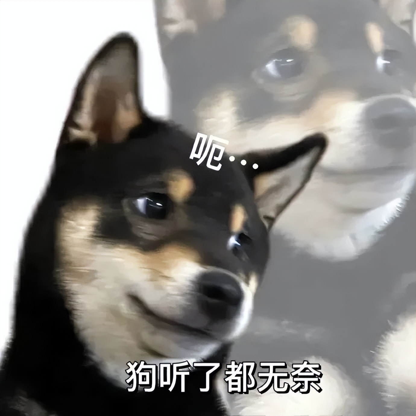 开挂还理直气壮,开挂玩和平精英被惩治