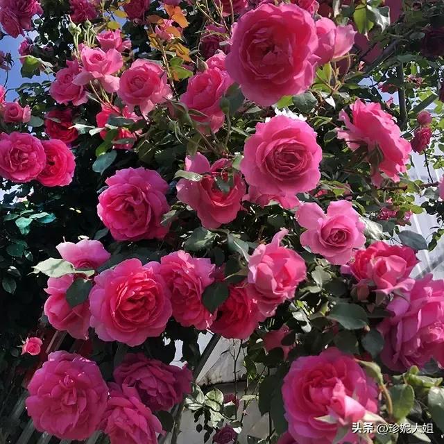 自来熟的人招人讨厌吗,自来熟无语