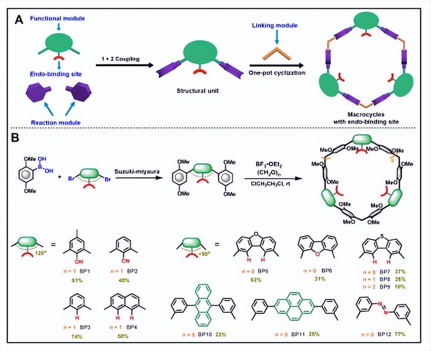 PXG/H13在非共价相互作用下，是如何有效阻止PXG反应的