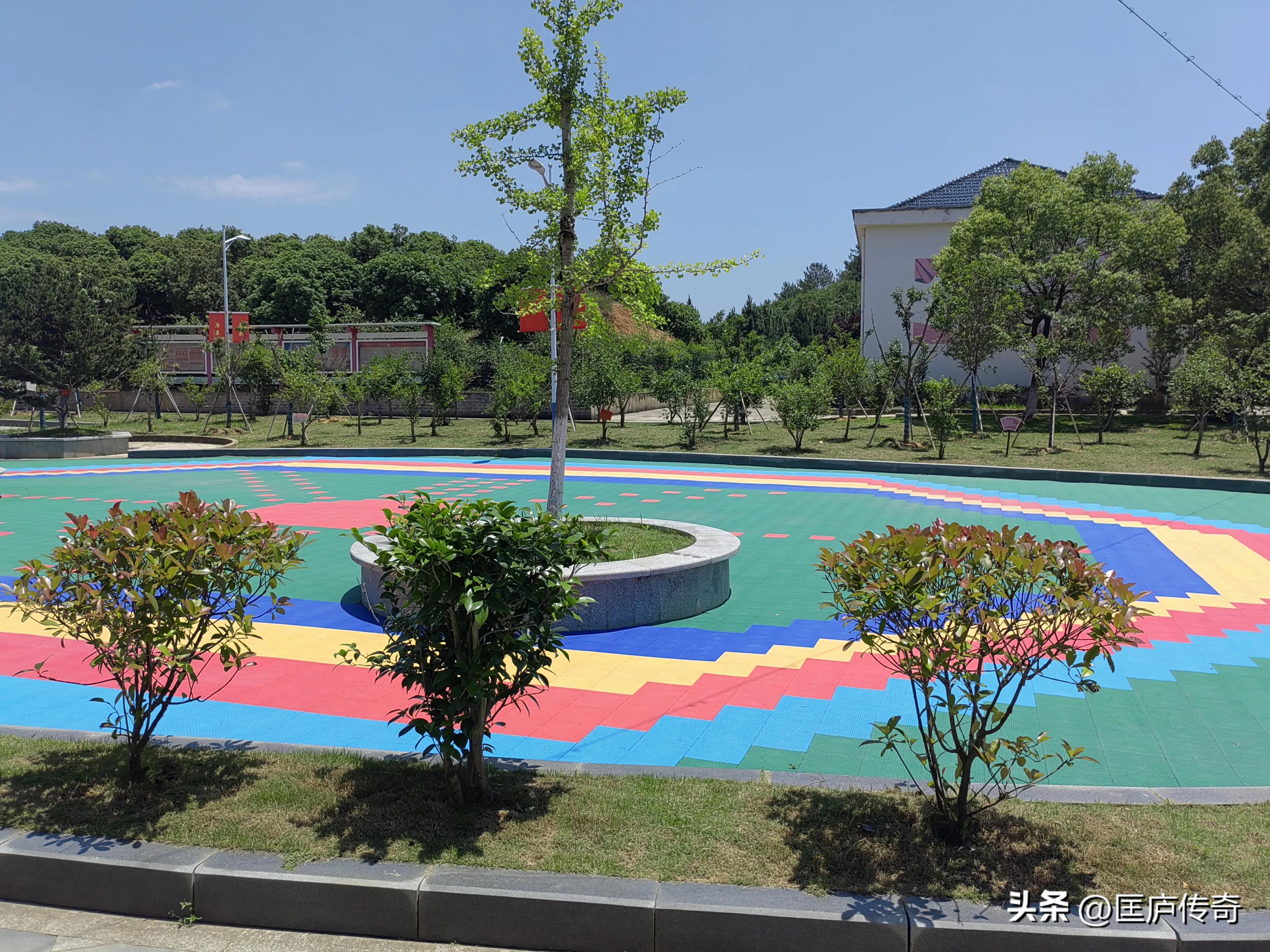 我的日常生活和工作内容,我的日常生活演讲稿小学生