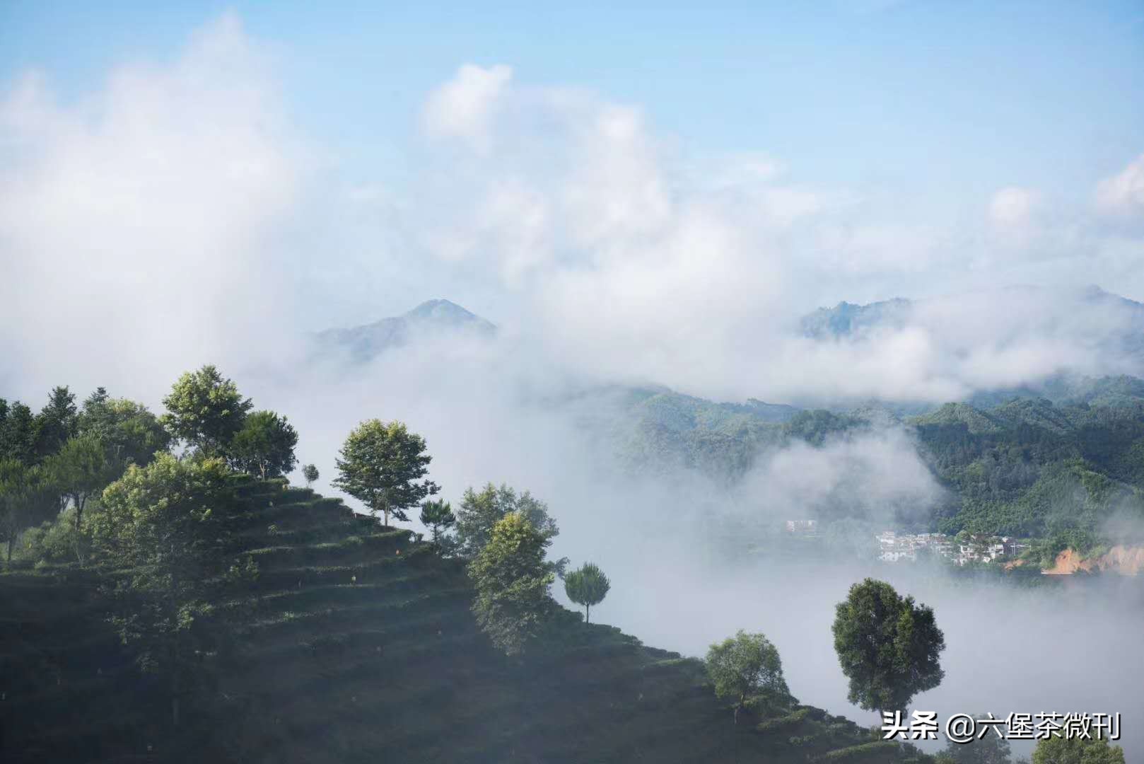 刘益之桂林山水画,刘益之画家