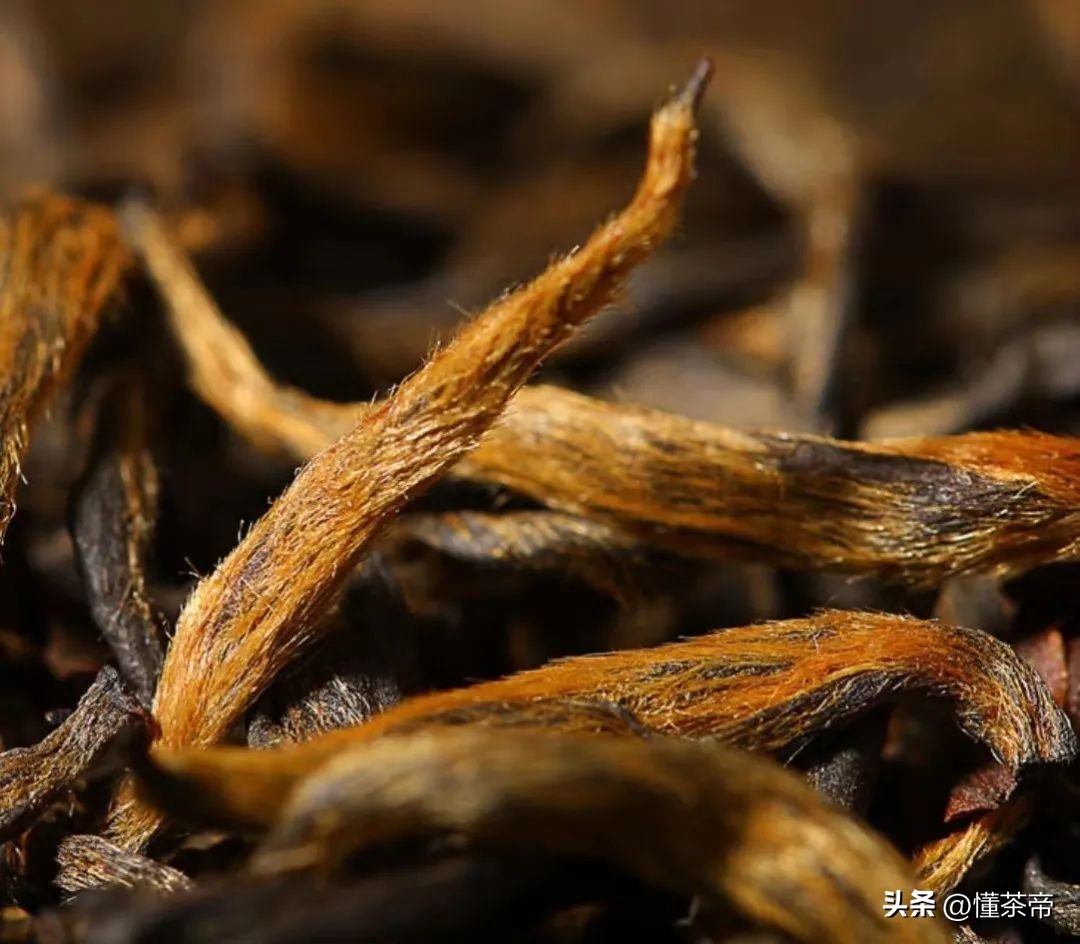 如果茶叶有高考，六大茶类中谁会高中“状元”？