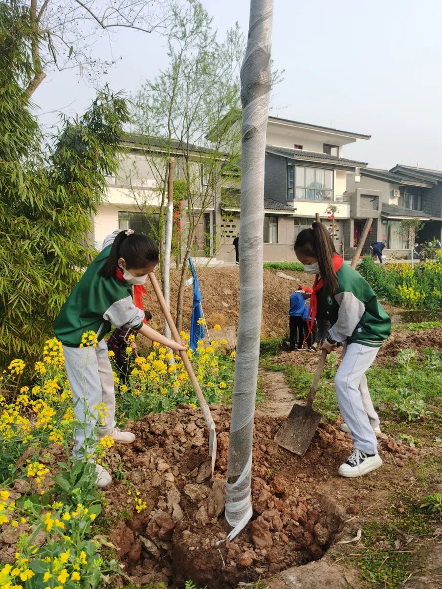 成都天府新区永兴镇小学规划,天府新区永兴小学