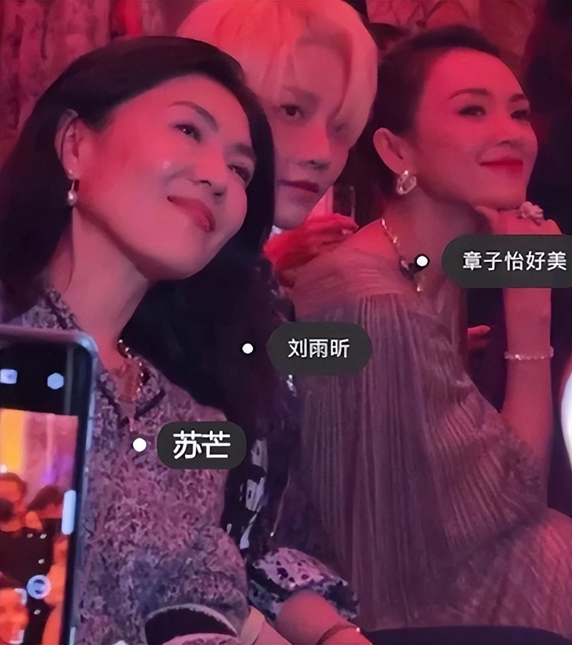 人走茶凉苏芒：封杀唐嫣被章子怡踹掉，毁伊能静婚礼被洪晃暗讽