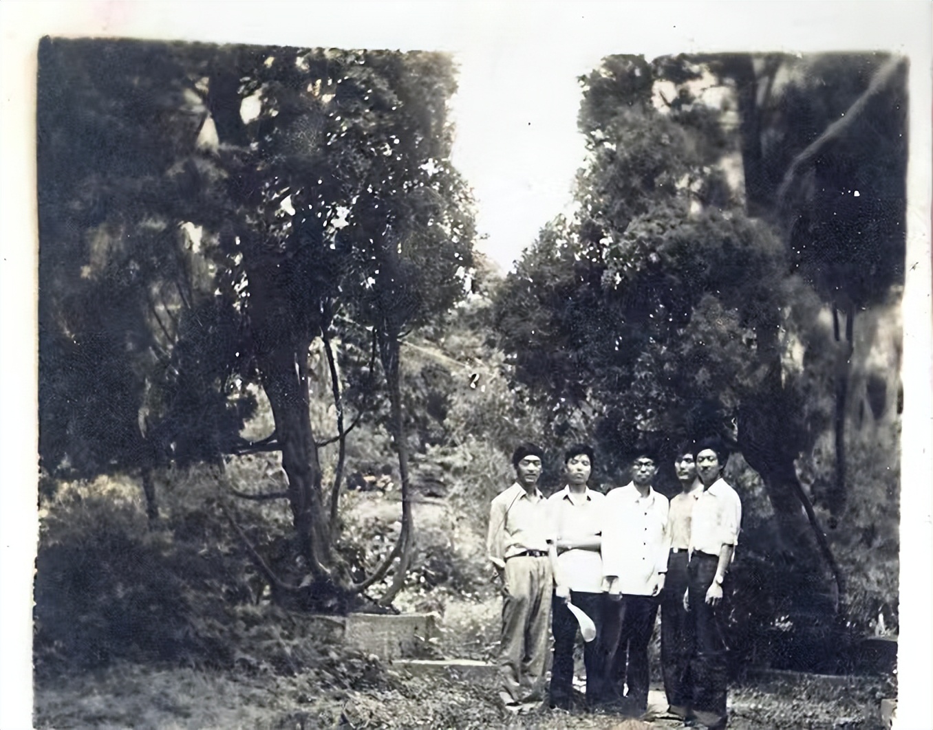 我是中师生作者,默默耕耘扎根教育一线