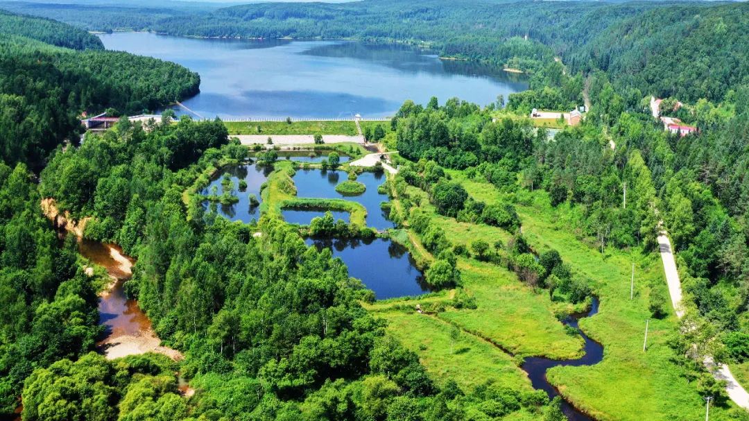 湿地可以开发什么旅游项目,黑龙江旅游必去十大湿地排名