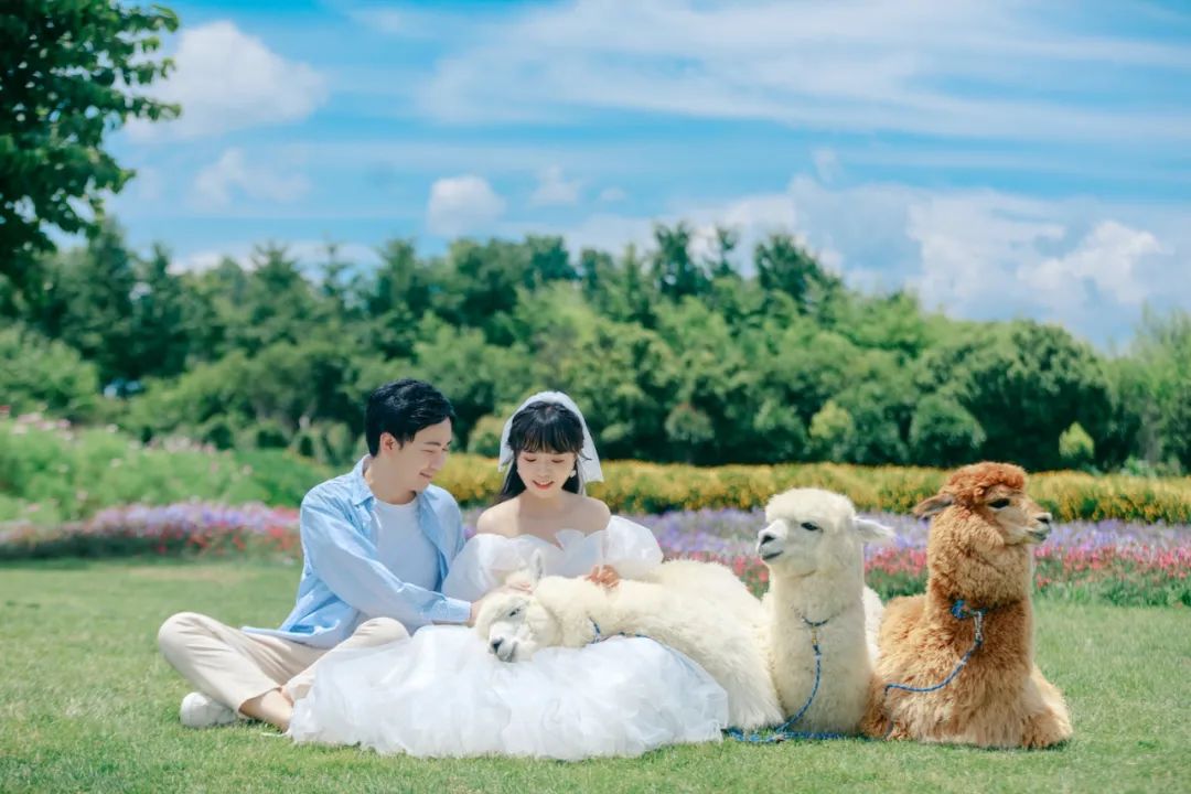 一起去有风的地方夏天,一起去有风有海的地方