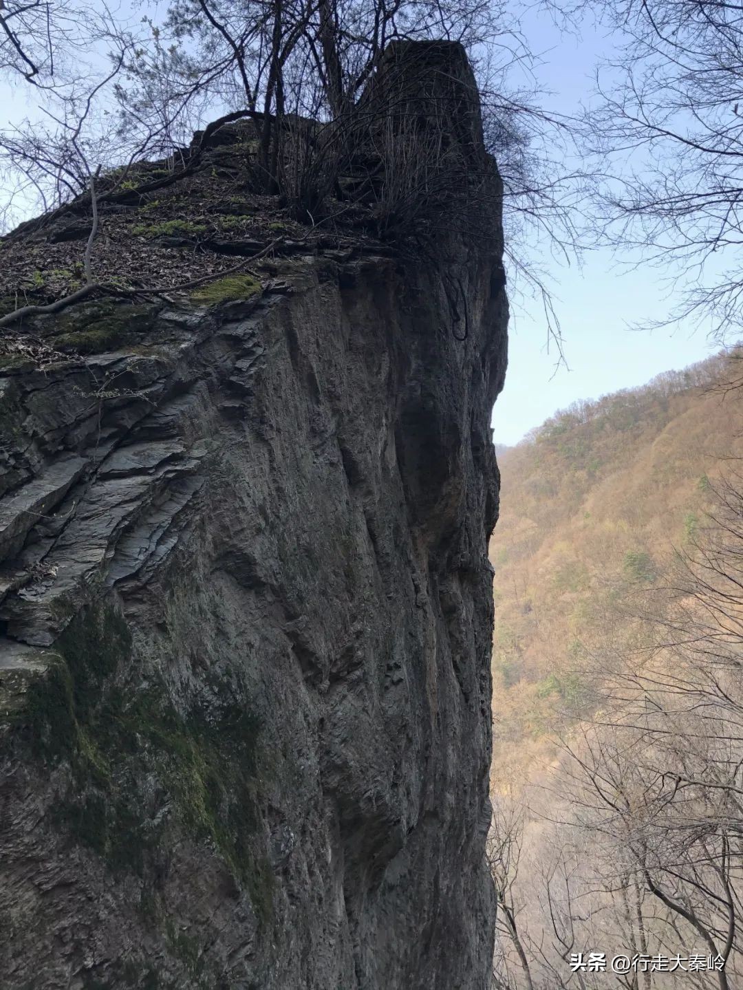 首阳山穿越大坪梁景色怎么样,大坪梁穿越到首阳山攻略