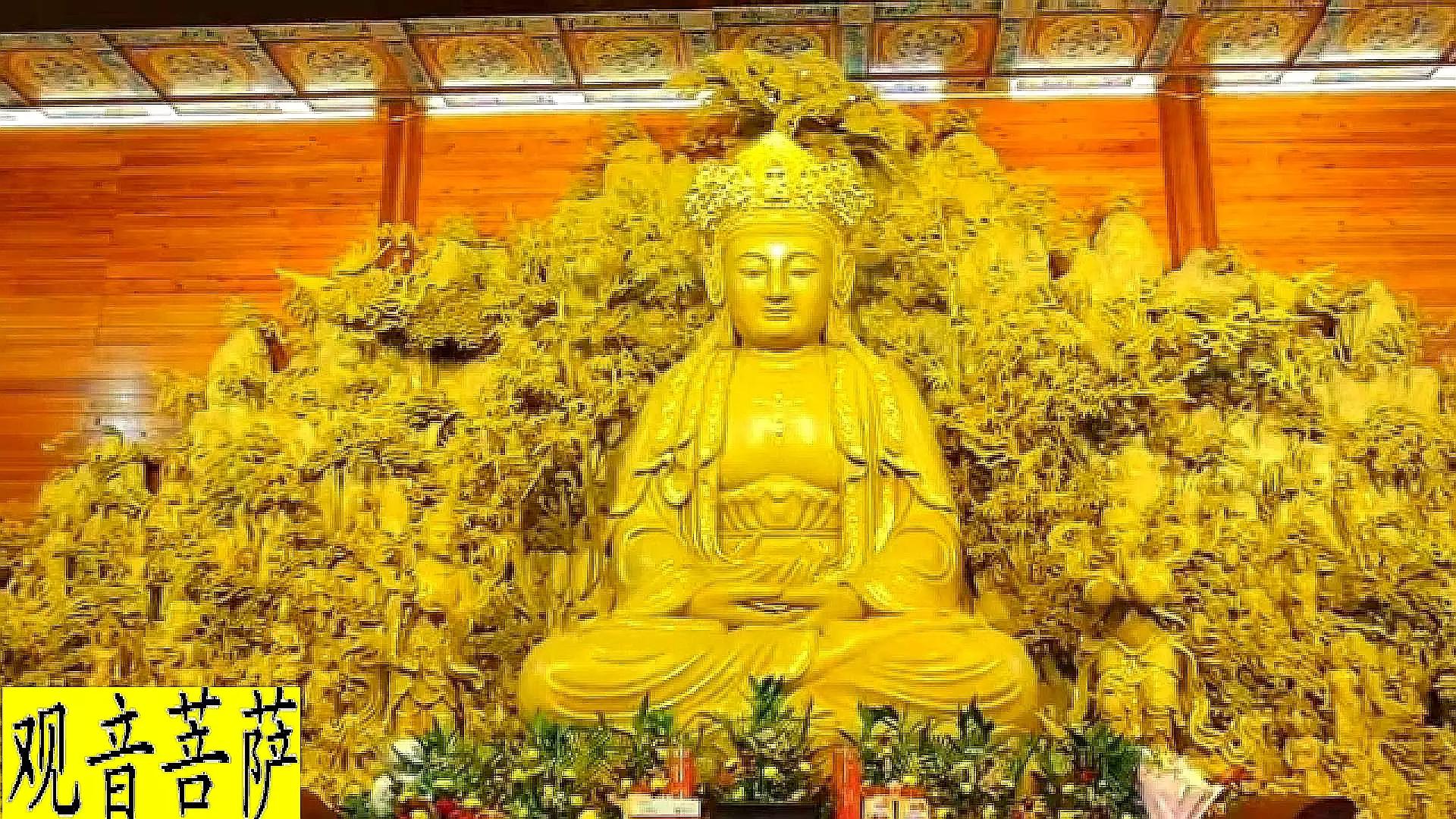 峨眉山最高顶是金顶吗,峨眉山最高的寺