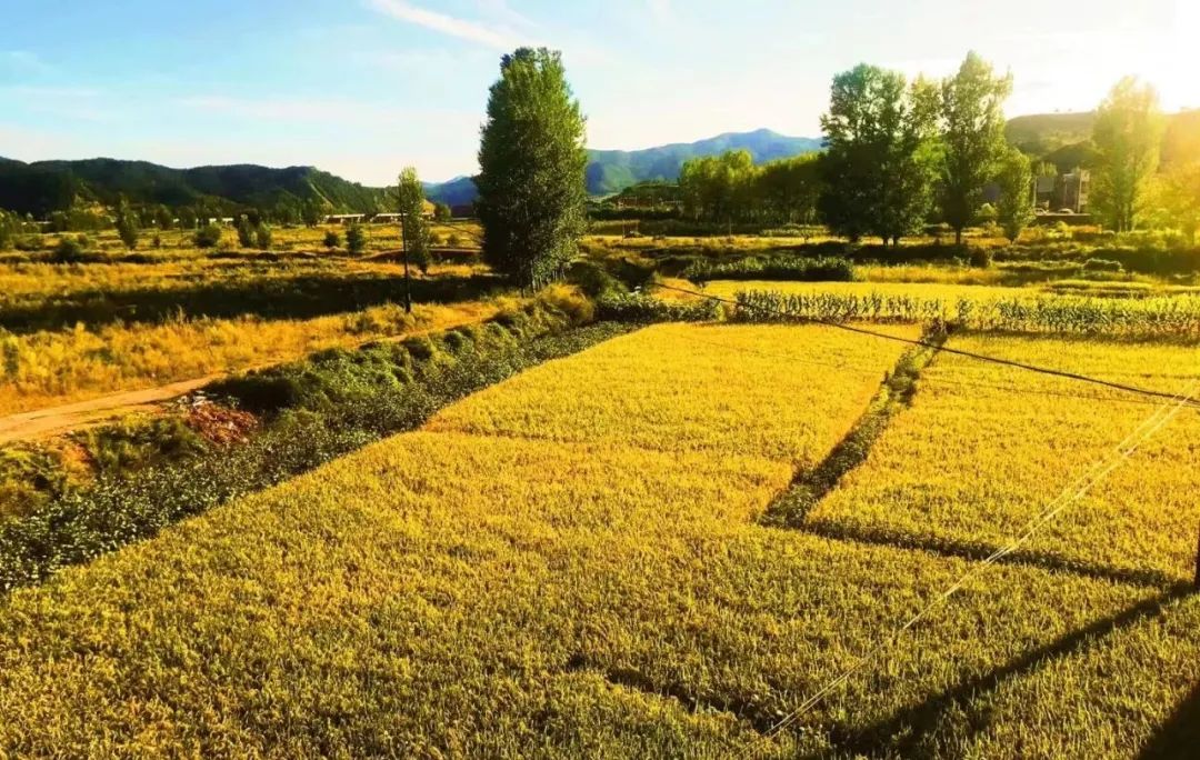 示范家庭农场申报推荐表填写,家庭农场财务网上申报怎么报