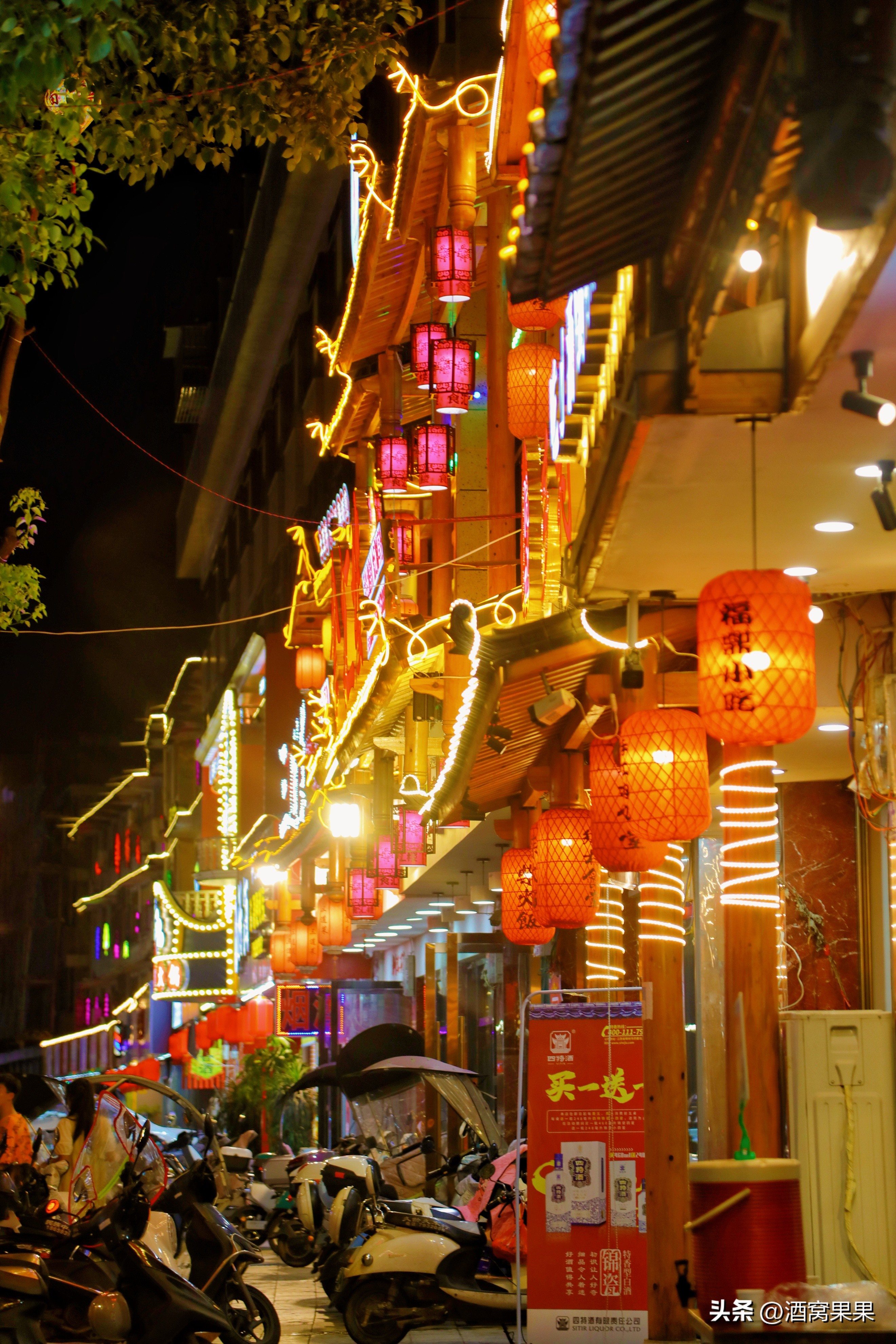 福鼎两天一夜旅游攻略,福鼎茶漫步茶园体验采茶之旅