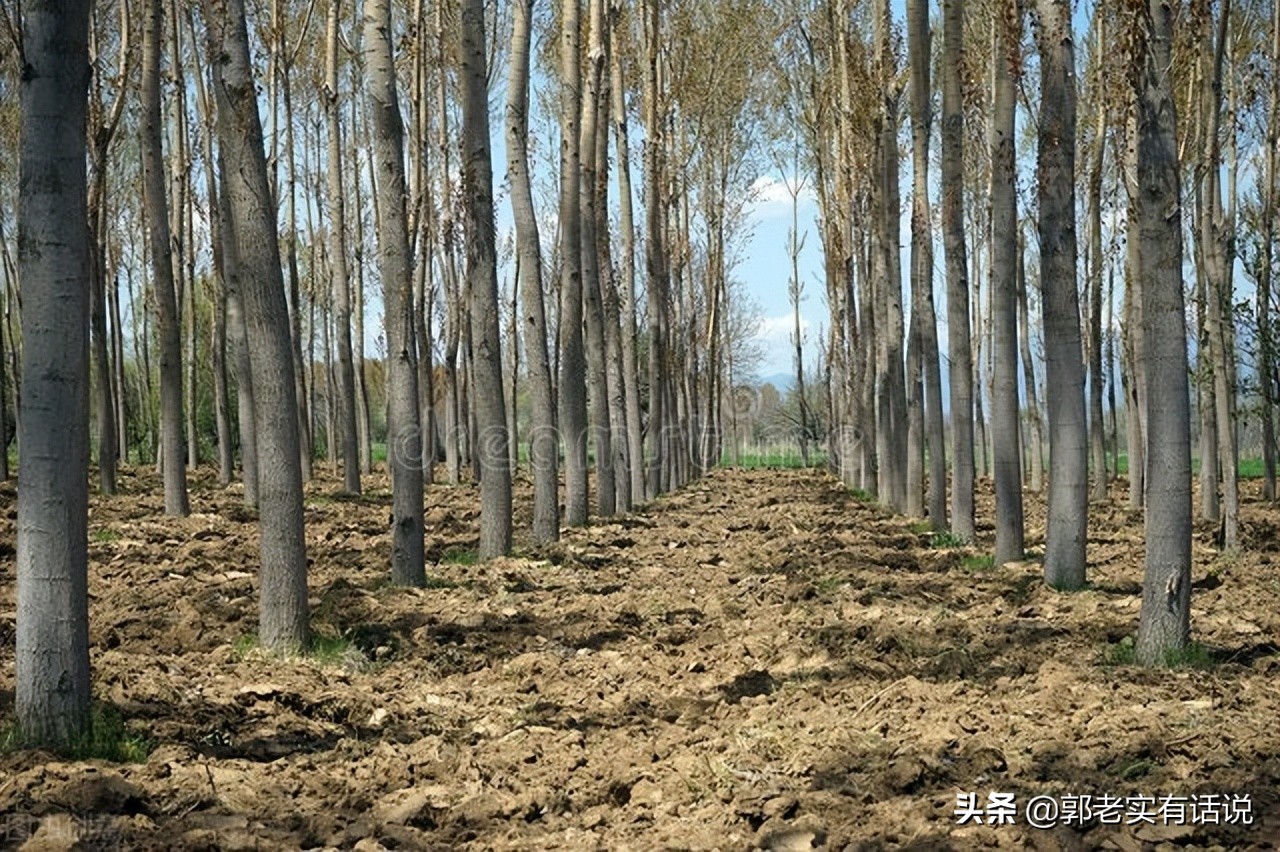 五行相生相克的关系规律,五行相生相克的关系的详细解释