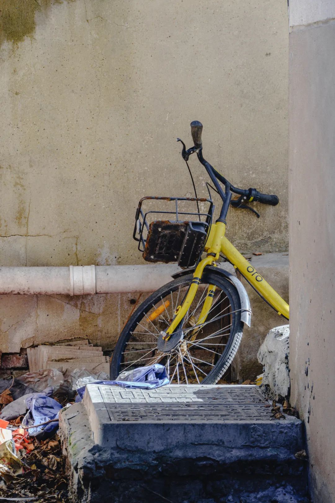 南京东山老鹅哪里最好,南京江宁区老鹅