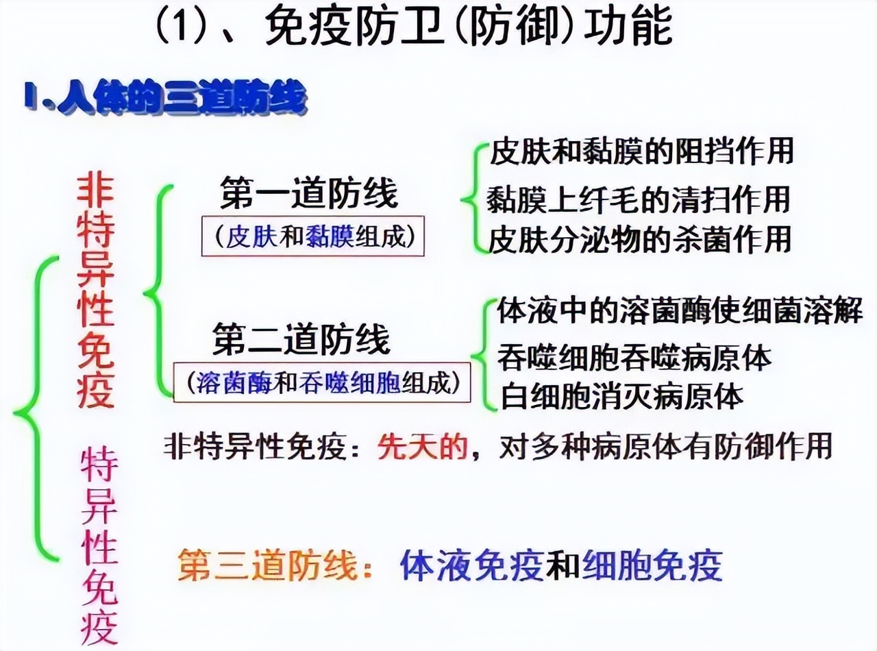 生物高中知识点免疫调节,高中生物免疫调节精讲视频