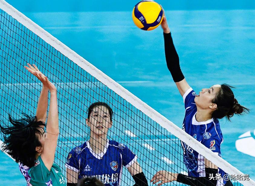 上海女排金软景最新消息,金软景拉尔森博斯