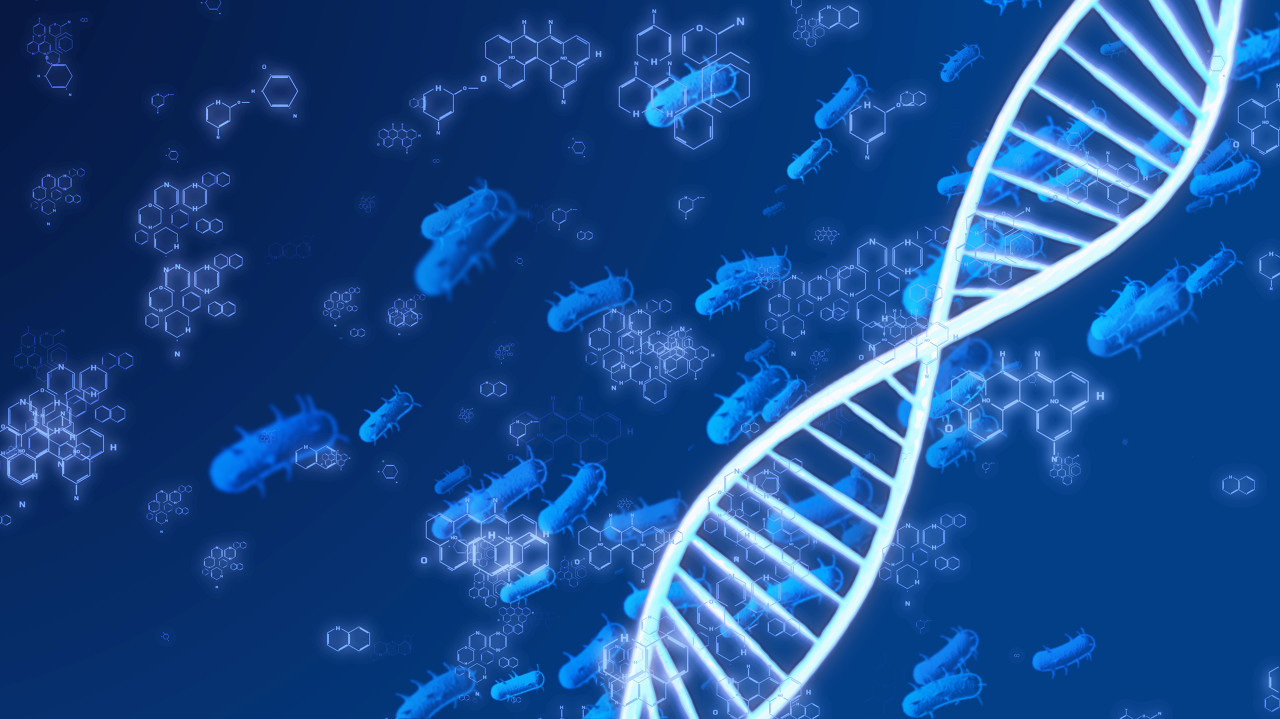 宏基因组和全基因组测序方法,土壤微生物宏基因组测序分析流程