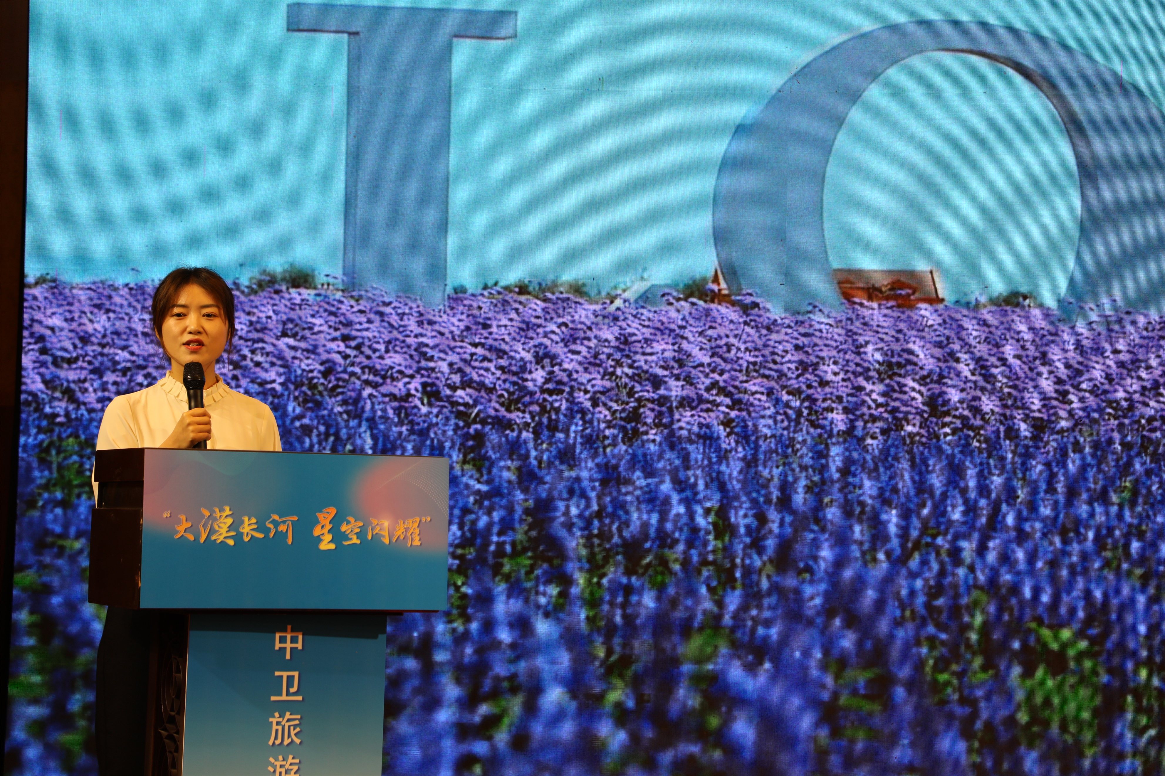 宁夏文旅推介会,宁夏最新文旅活动