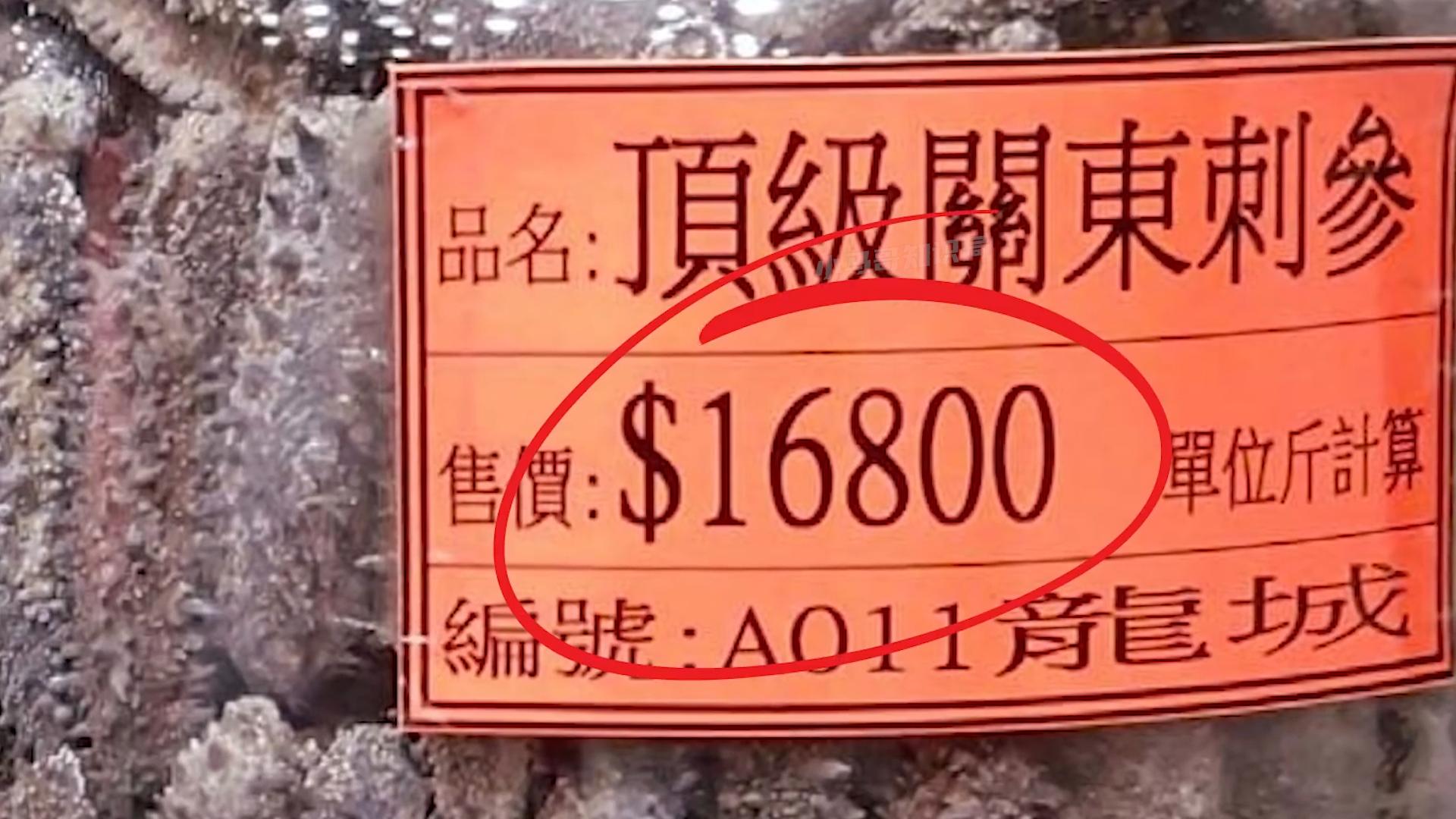 顶级海参多少一头,中国的足球队吃哪家的海参