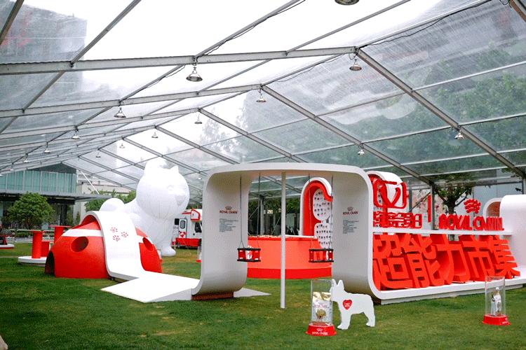 市区100平米宠物游乐园,宠物游乐场室内