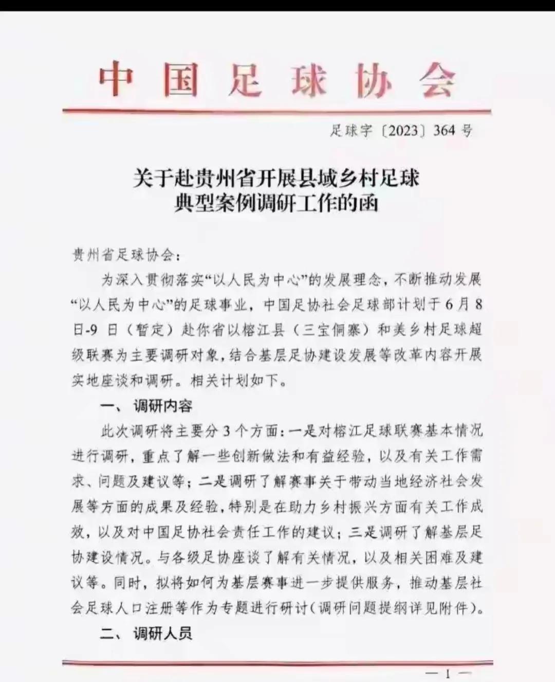 华春莹评村超,华春莹点赞贵州村超