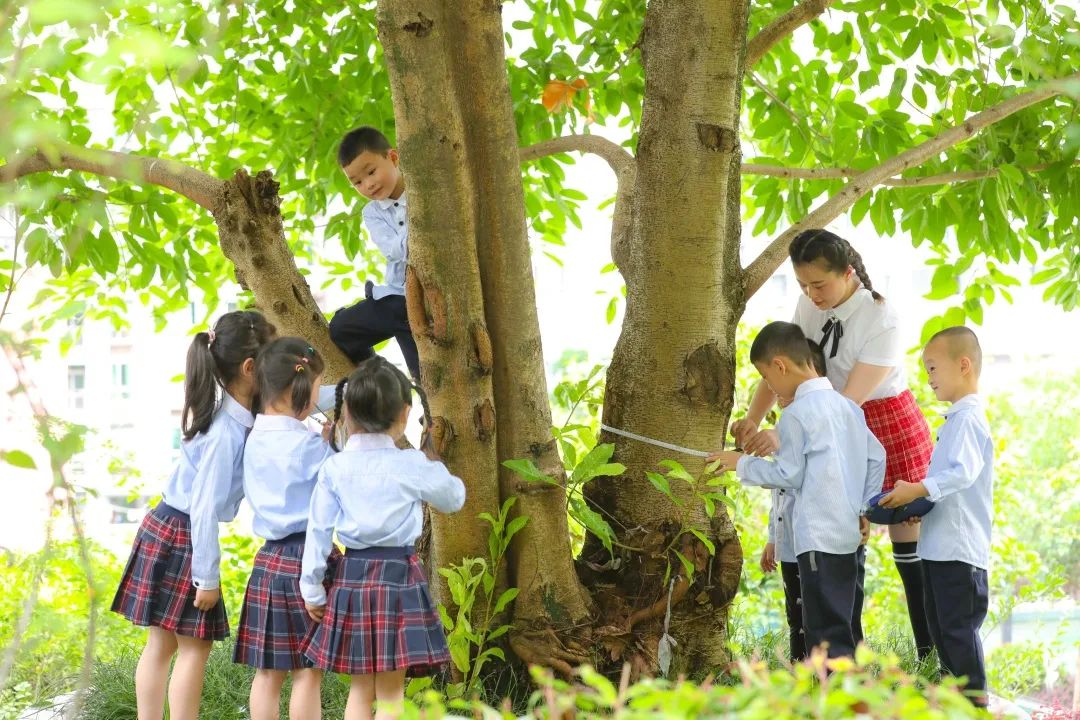学前教育10年砥砺奋进之路,学前教育砥砺十年主题活动