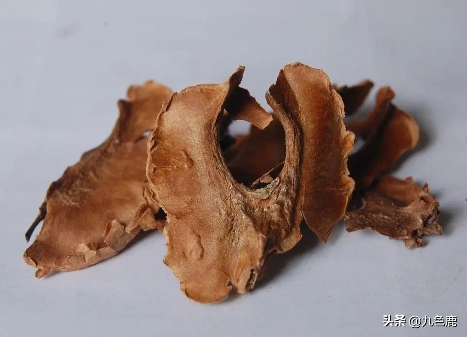 分心木煮鸡蛋方法,分心木煮鸡蛋的正确做法