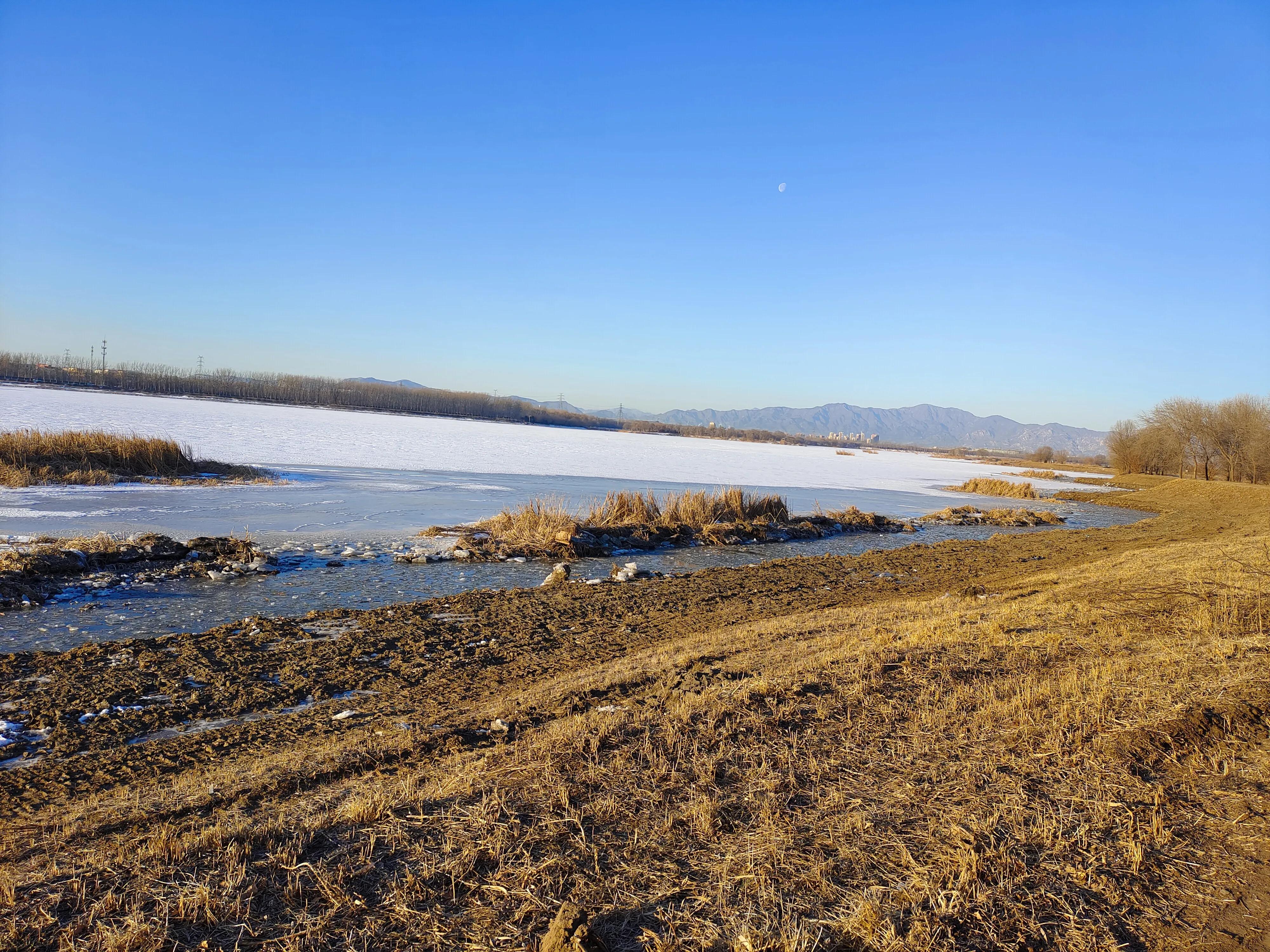 又是新的一周表情包,又是新的一周开始了图片