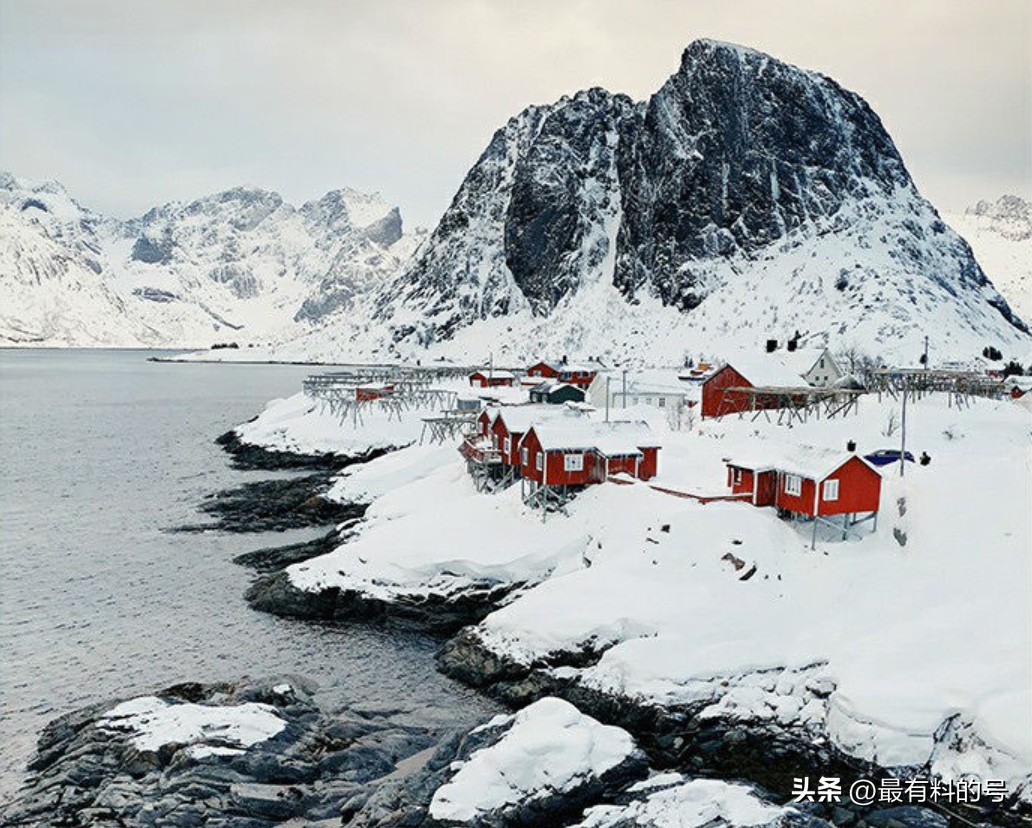 视觉中国摄影作品解读,视觉中国静物
