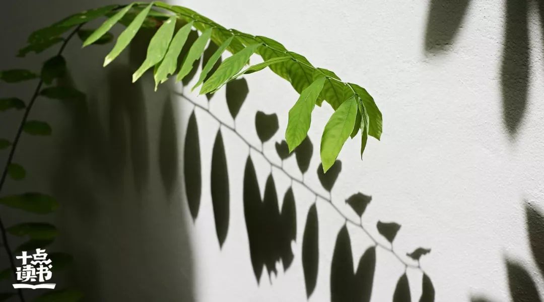 人生最美20首诗,15首最美禅意诗