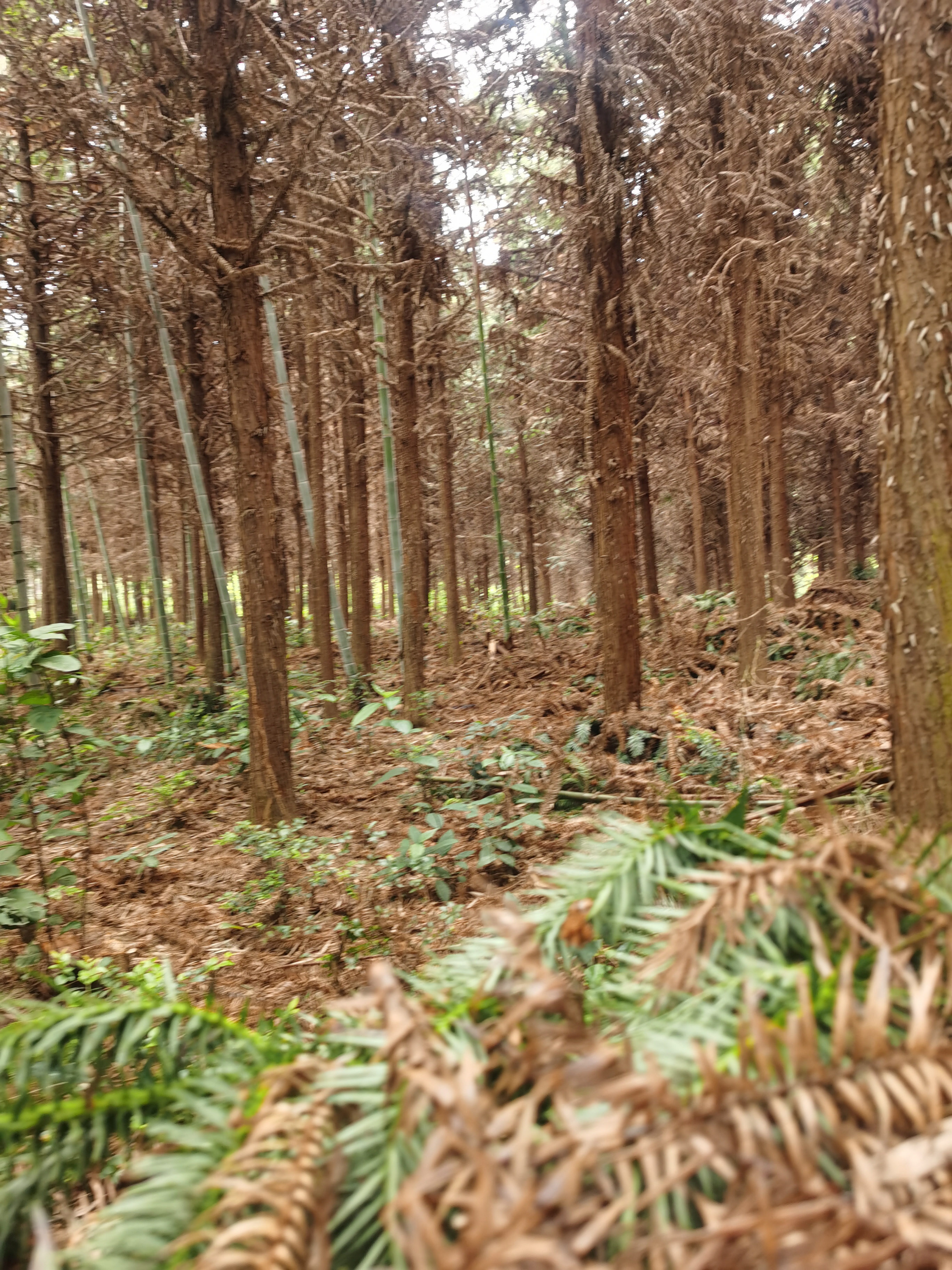在乡下干活累死了,种地一亩地能赚500块钱吗